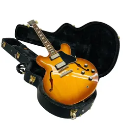 F-HOLE SUNBURST S/N