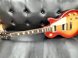 ROSEWOOD FRETBOARD BURSTBUCK
