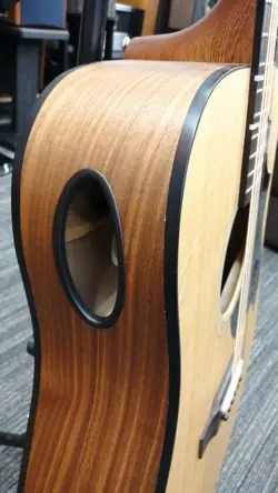 G-BIRD DREADNOUGHT