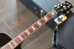 PRO ACOUSTIC/ ELECTRIC