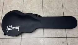 PAUL HARDSHELL GUITAR