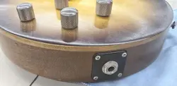 FUTURE ELECTRIC