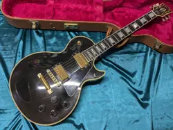 USA BLACK ELECTRIC
