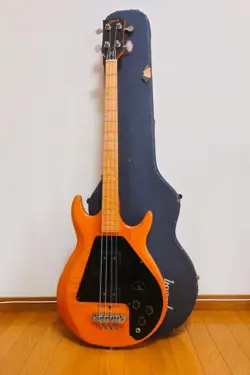 IN 1974-75S