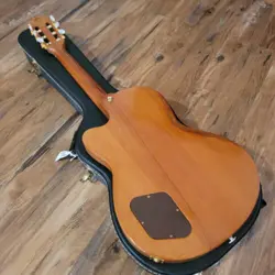 ATKINS CLASSIC CUSTOM