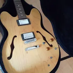 EPIPHONE BY GIBSON DOT SEMI-HOLLOW GUITAR GUARANTEED FROM JAPAN