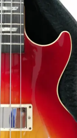 BASS MAHOGANY BODY