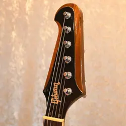 FIREBIRD NO.DG1882