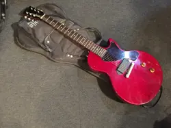 JUNIOR CHERRY MAINTAINED
