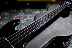 FRETLESS 1979 SAFE