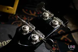 FRETLESS 1979