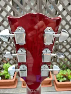 CUSTOM DOVE