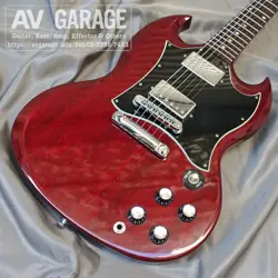 SG SPECIAL 2006