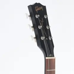 WORN EBONY BRANCH