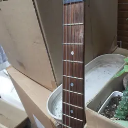 FENDER PU