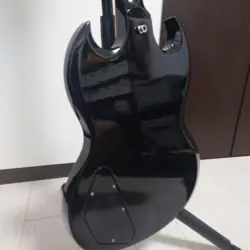 GUITAR EBONY FINISH