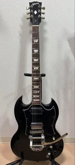 PICKGUARD MODEL