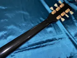 FI/GH 2014 ELECTRIC