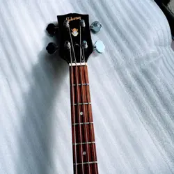GIBSON EB-2D