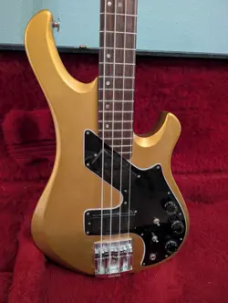 BASS GUITAR ARTIST