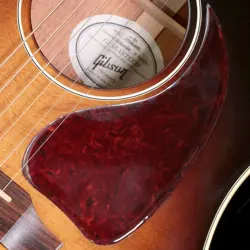 ACOUSTIC ELECTRIC GUI