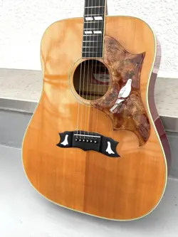 DOVE CUSTOM MODEL