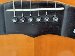 MODEL SPRUCE TOP