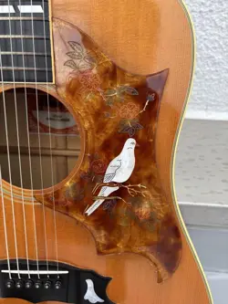 CUSTOM MODEL SPRUCE
