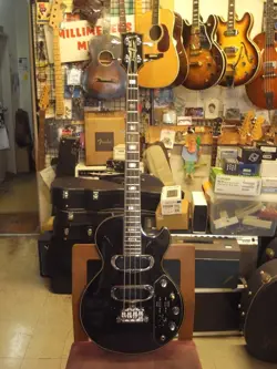 BASS 1976 ELECTRIC