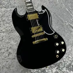 2-PICKUP EBONY GLOSS