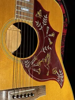 HUMMINGBIRD GUITAR