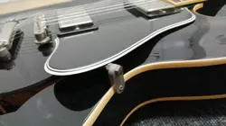 CUSTOM ES-335 DOT