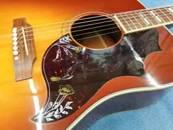 HUMMINGBIRD USED