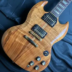 61 SG KOA