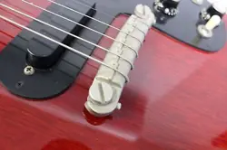 W/ALLIGATOR CASE