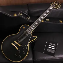 5195 GUITAR