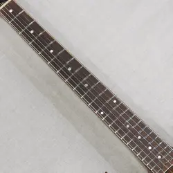 VINTAGE SG