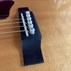 J-60 ACOUSTIC