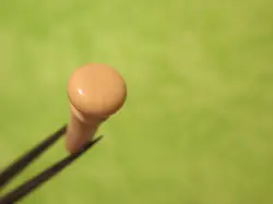PLUG