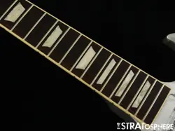STANDARD MODEL BODY