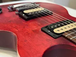 ZEBRA HUMBUCKERS