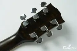 ES-335TD SUNBURST ELECTRIC