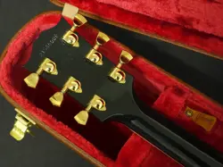 EBONY 2024 ACOUSTIC
