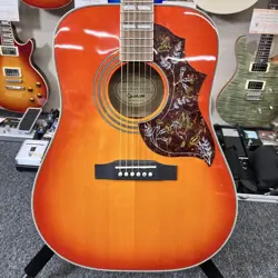 PRO ACOUSTIC ELECTRIC