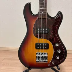 RARE GIBSON EB