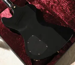 EBONY GLOSS #CS404182