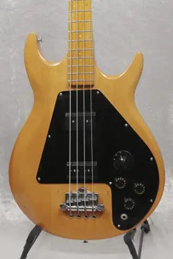 USED MAPLE BODY