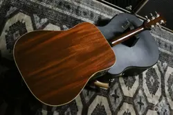 SUNBURST 1978 1978