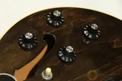GIBSON ES-335 TDW