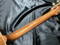 ROSEWOOD BURST J45